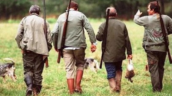 verità compro oro gioielli prezzo mercato oro