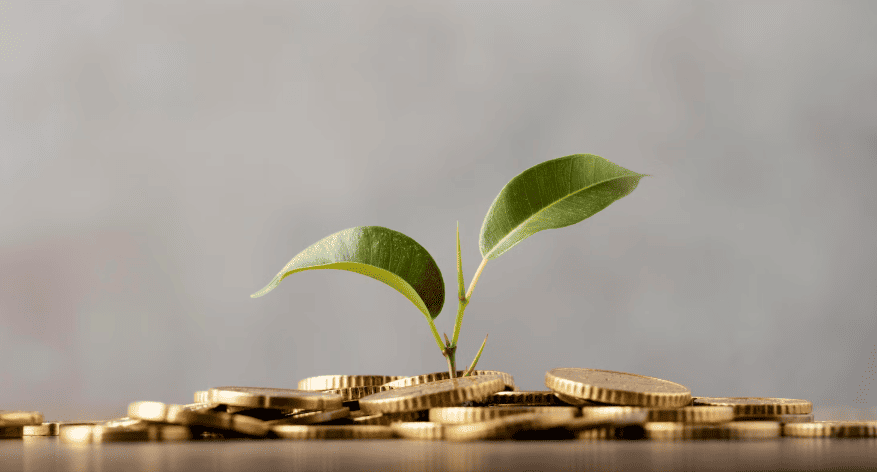 dove investire oggi